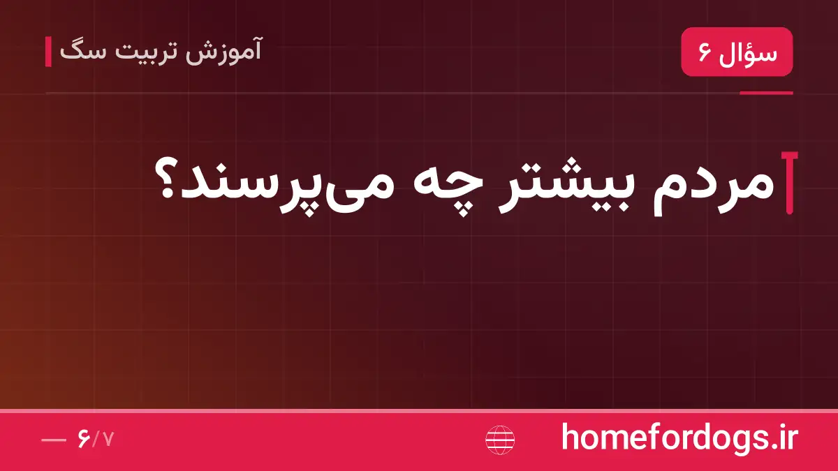 مردم بیشتر چه میپرسند؟