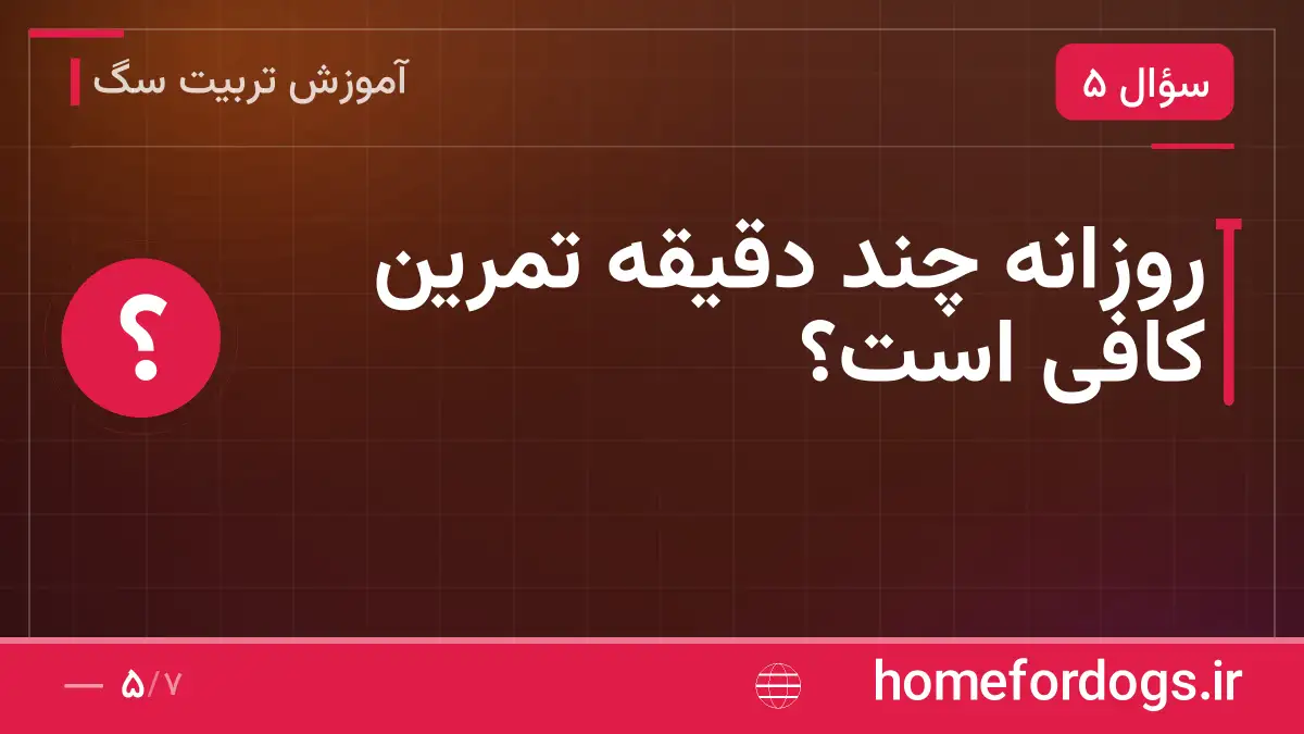 روزانه چند دقیقه تمرین کافی است؟