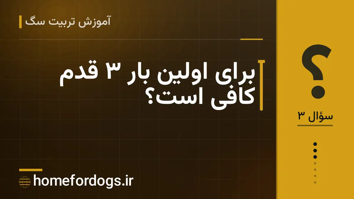 برای اولین بار ۳ قدم کافی است؟