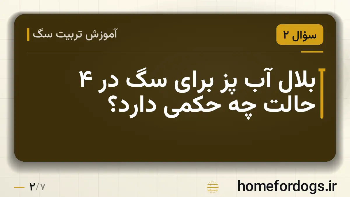 بلال آب پز برای سگ در ۴ حالت چه حکمی دارد؟