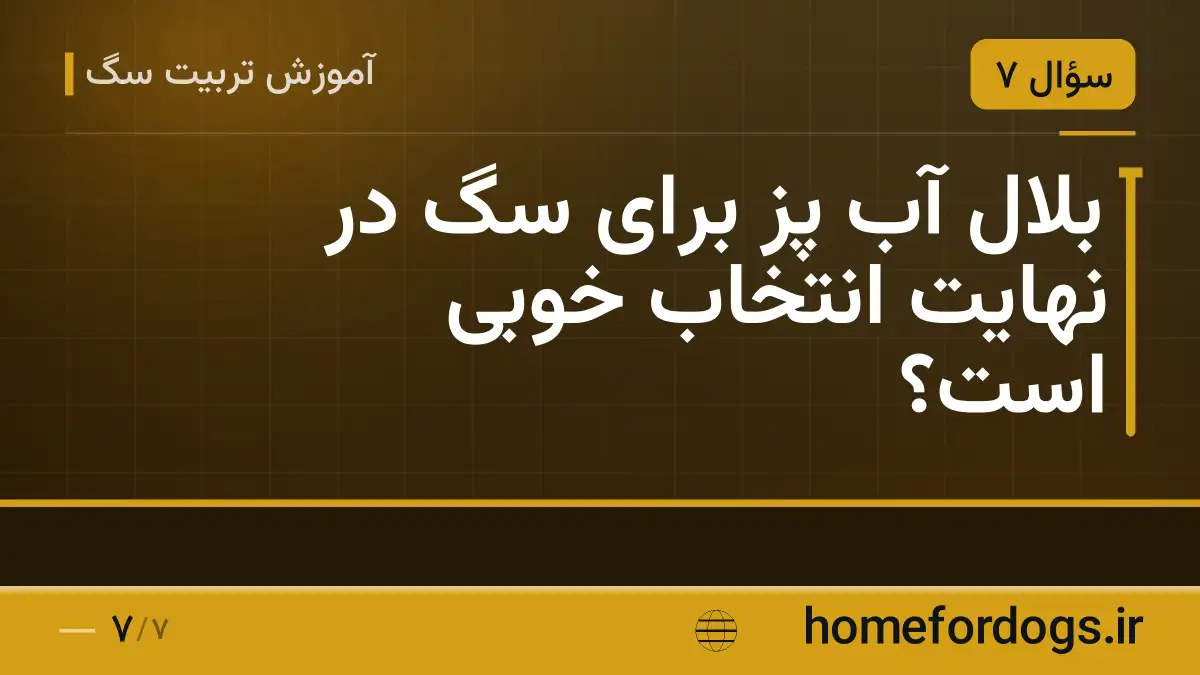 بلال آب پز برای سگ در نهایت انتخاب خوبی است؟
