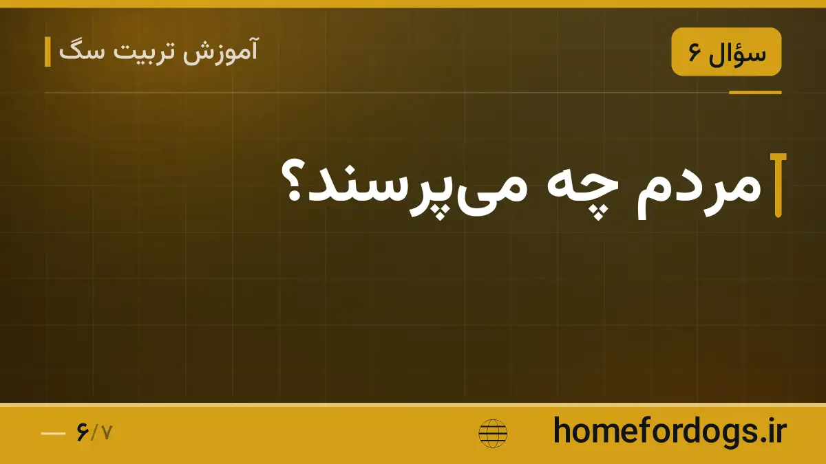 مردم چه میپرسند؟