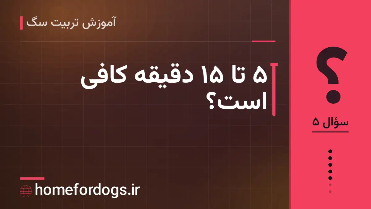 ۵ تا ۱۵ دقیقه کافی است؟