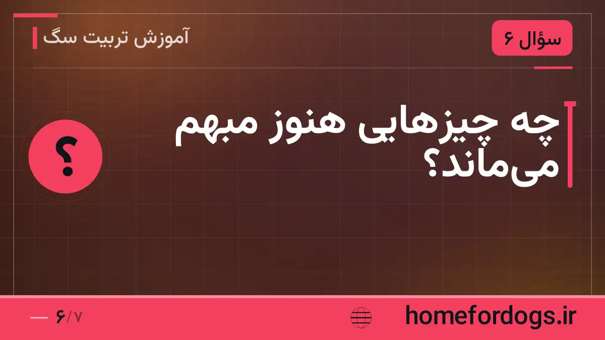 چه چیزهایی هنوز مبهم میماند؟