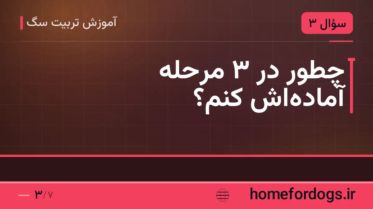 چطور در ۳ مرحله آمادهاش کنم؟