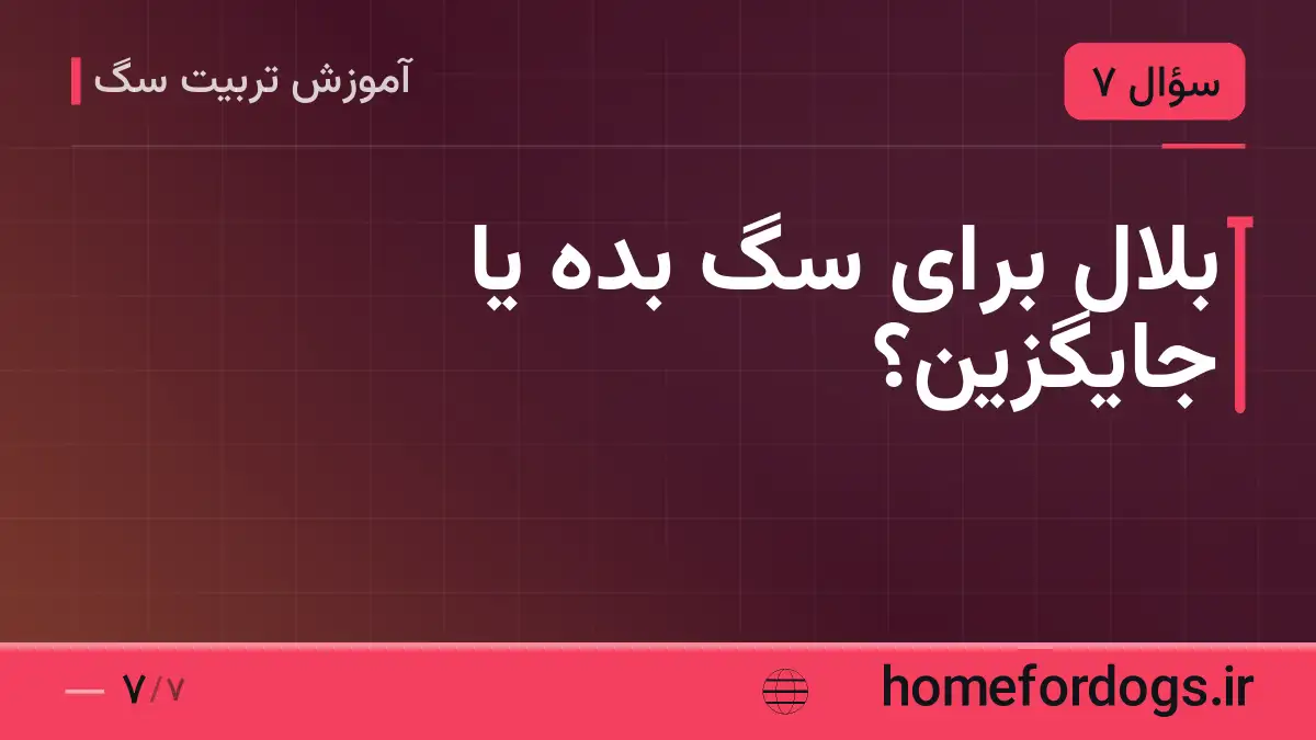بلال برای سگ بده یا جایگزین؟