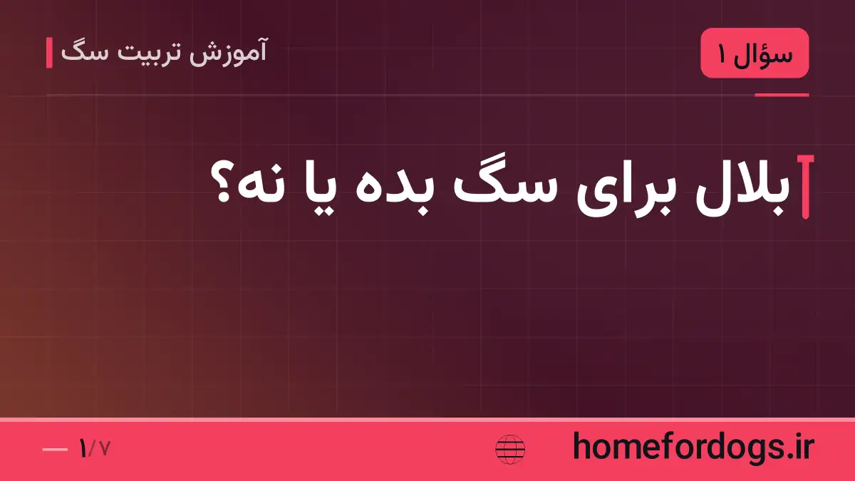 بلال برای سگ بده یا نه؟