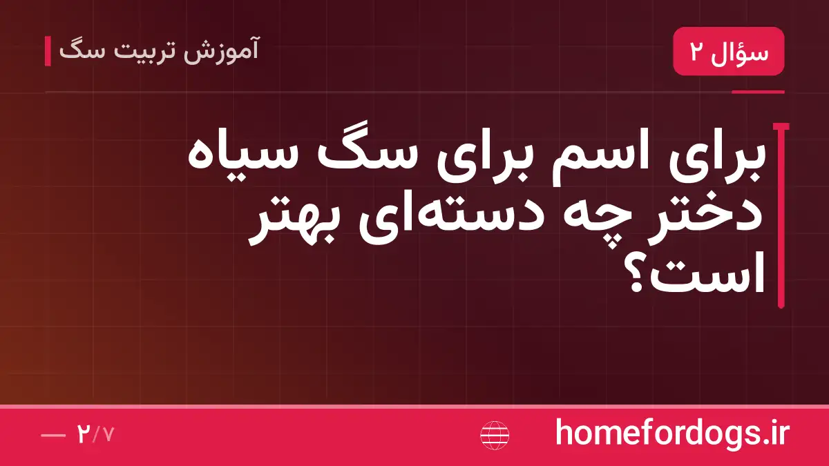 برای اسم برای سگ سیاه دختر چه دسته‌ای بهتر است؟