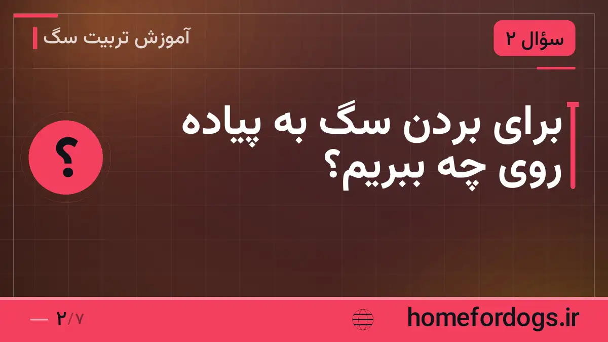 برای بردن سگ به پیاده روی چه ببریم؟