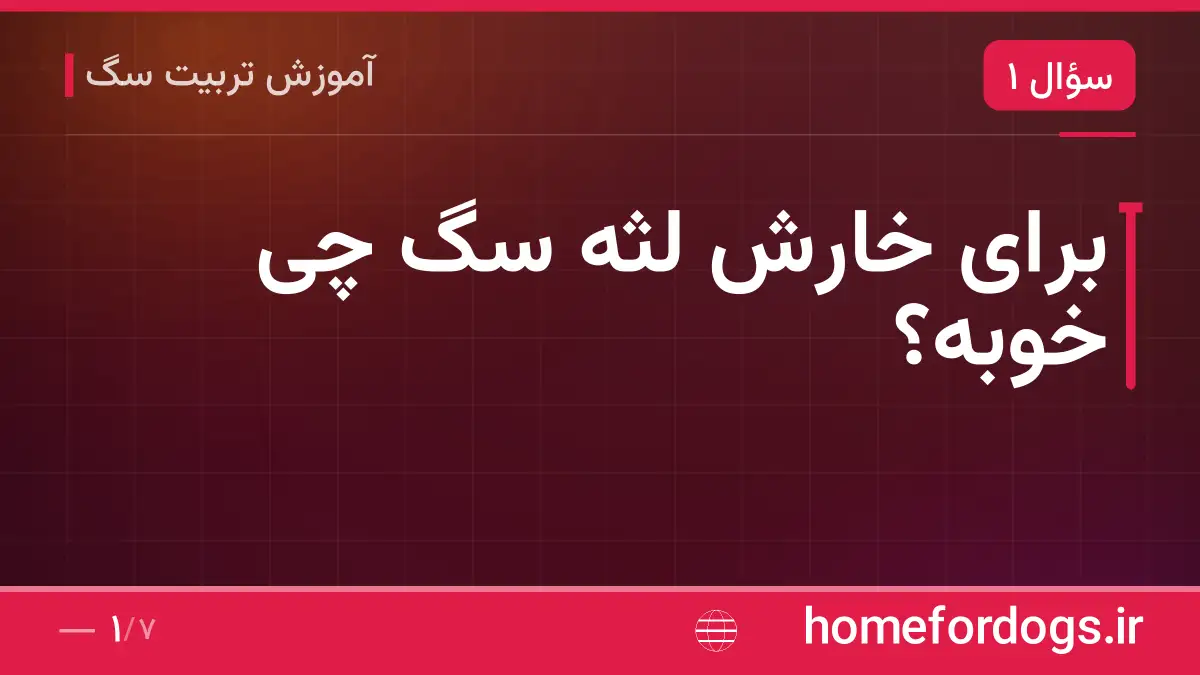 برای خارش لثه سگ چی خوبه؟