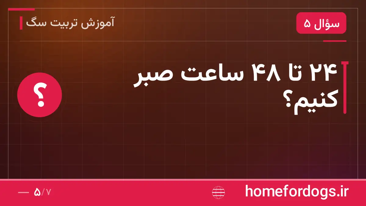 ۲۴ تا ۴۸ ساعت صبر کنیم؟