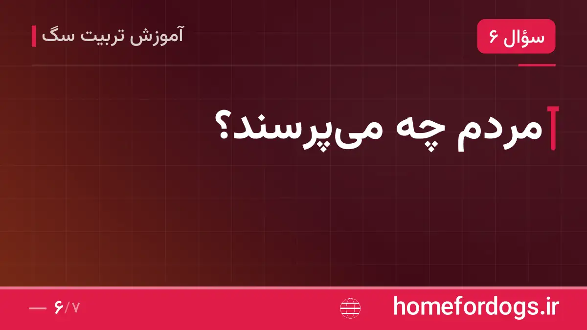 مردم چه می‌پرسند؟