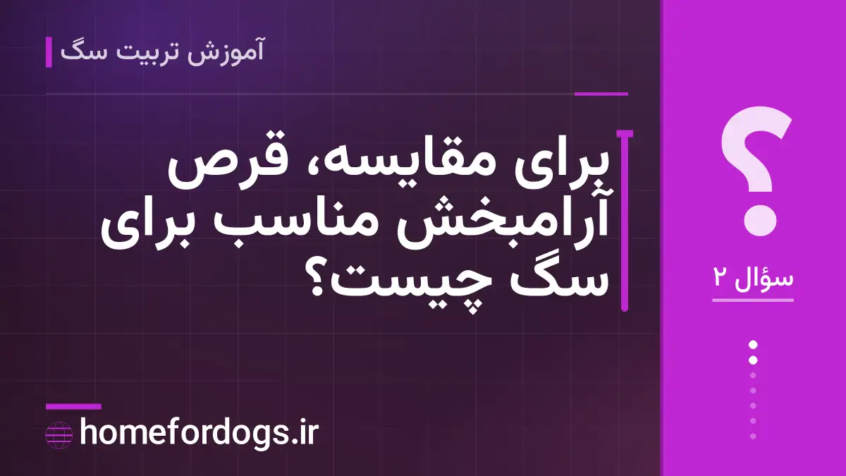 برای مقایسه، قرص آرامبخش مناسب برای سگ چیست؟