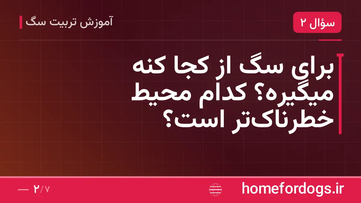 برای سگ از کجا کنه میگیره؟ کدام محیط خطرناک‌تر است؟