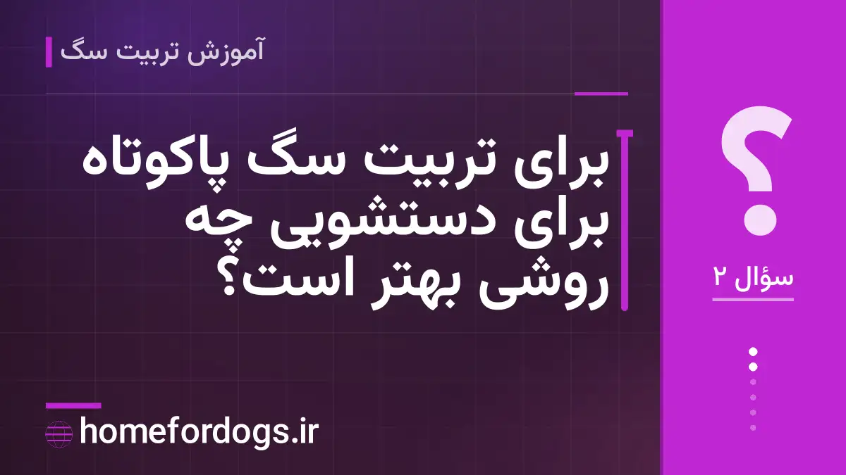 برای تربیت سگ پاکوتاه برای دستشویی چه روشی بهتر است؟