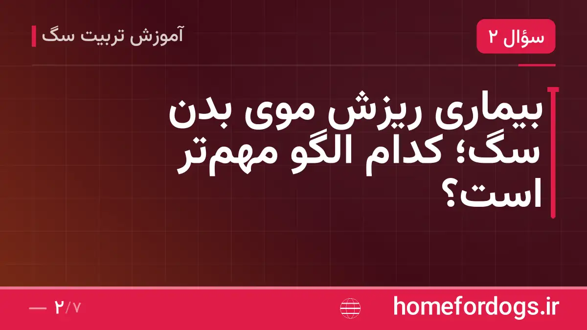 بیماری ریزش موی بدن سگ؛ کدام الگو مهم‌تر است؟