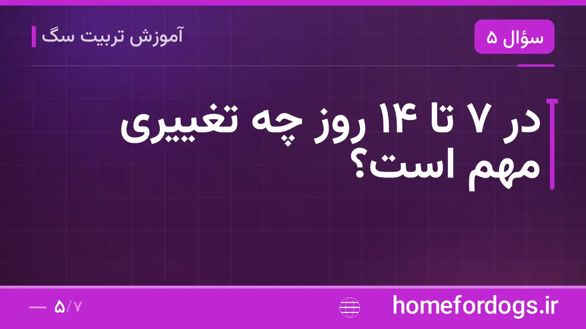 در ۷ تا ۱۴ روز چه تغییری مهم است؟