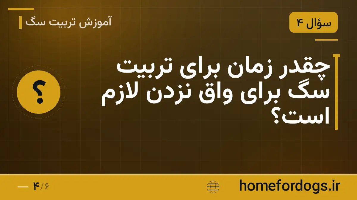 چقدر زمان برای تربیت سگ برای واق نزدن لازم است؟
