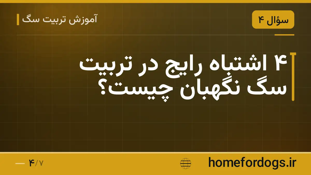۴ اشتباه رایج در تربیت سگ نگهبان چیست؟