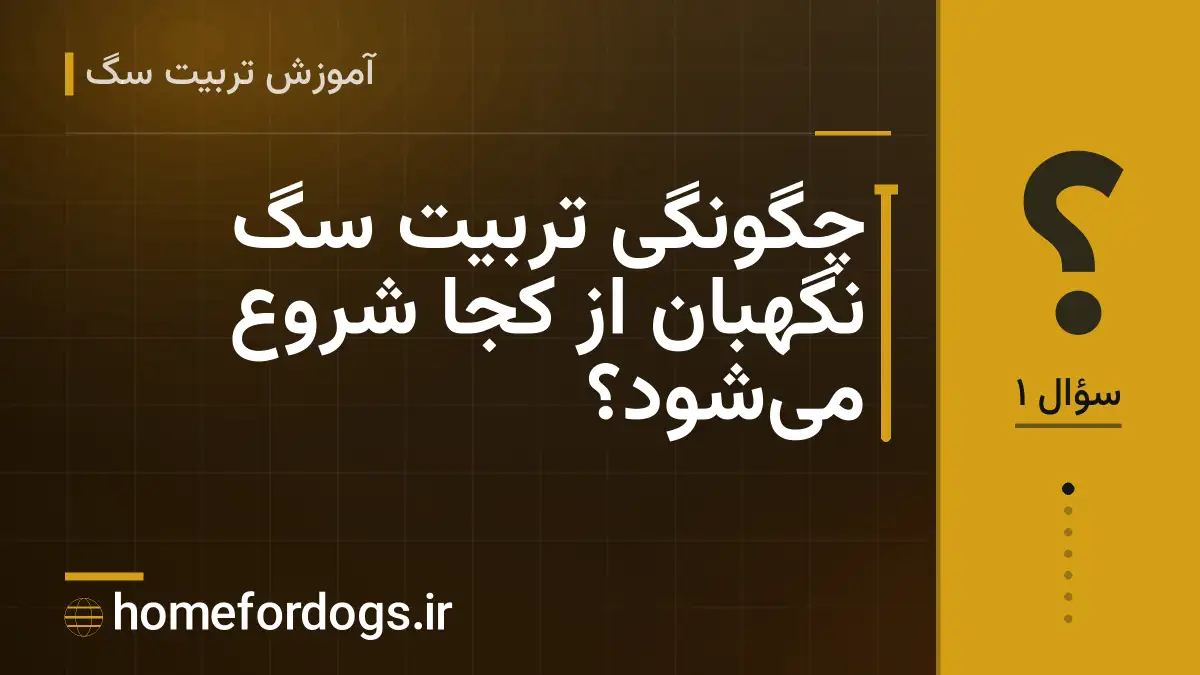 چگونگی تربیت سگ نگهبان از کجا شروع می‌شود؟
