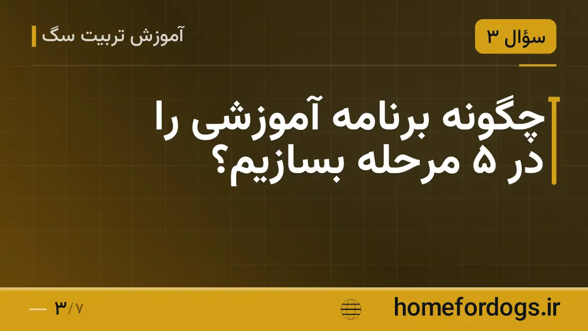 چگونه برنامه آموزشی را در ۵ مرحله بسازیم؟