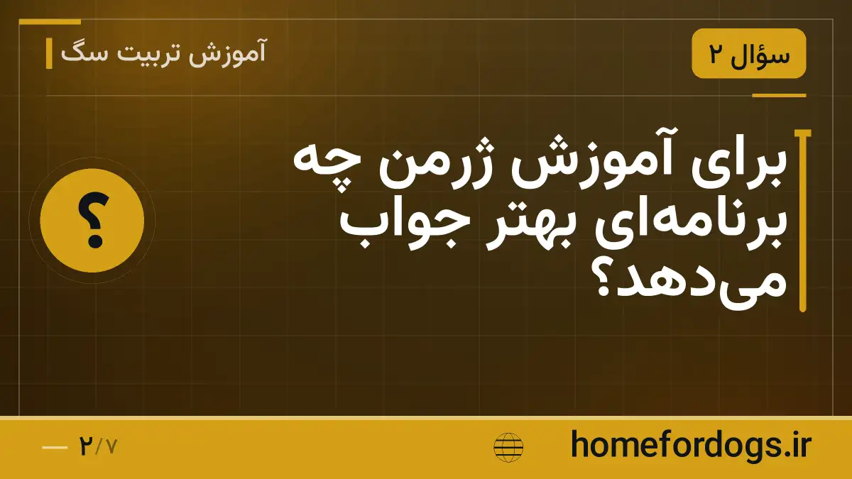 برای آموزش ژرمن چه برنامه‌ای بهتر جواب می‌دهد؟