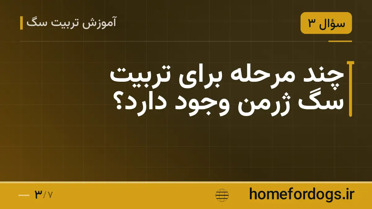 چند مرحله برای تربیت سگ ژرمن وجود دارد؟