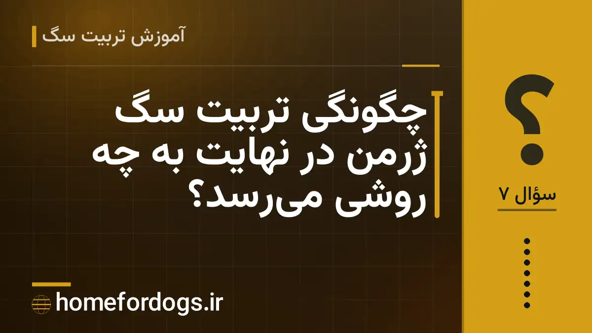 چگونگی تربیت سگ ژرمن در نهایت به چه روشی می‌رسد؟