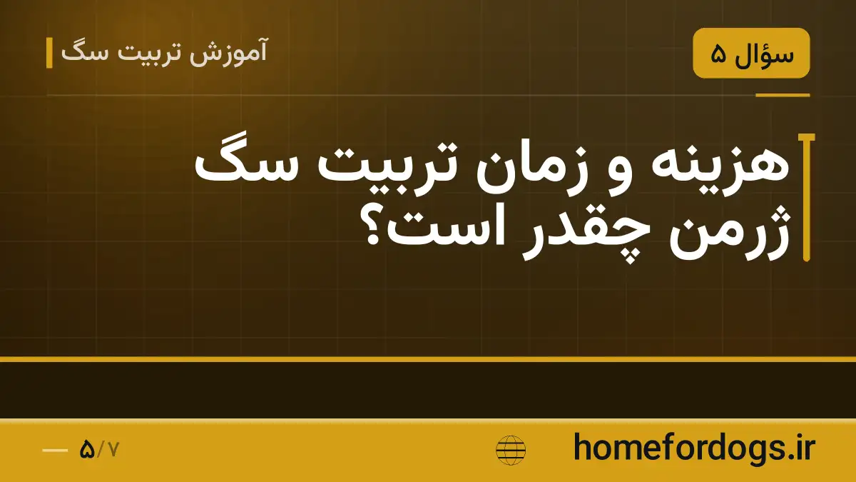 هزینه و زمان تربیت سگ ژرمن چقدر است؟