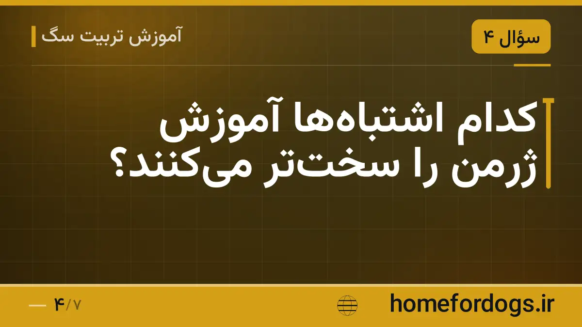کدام اشتباه‌ها آموزش ژرمن را سخت‌تر می‌کنند؟