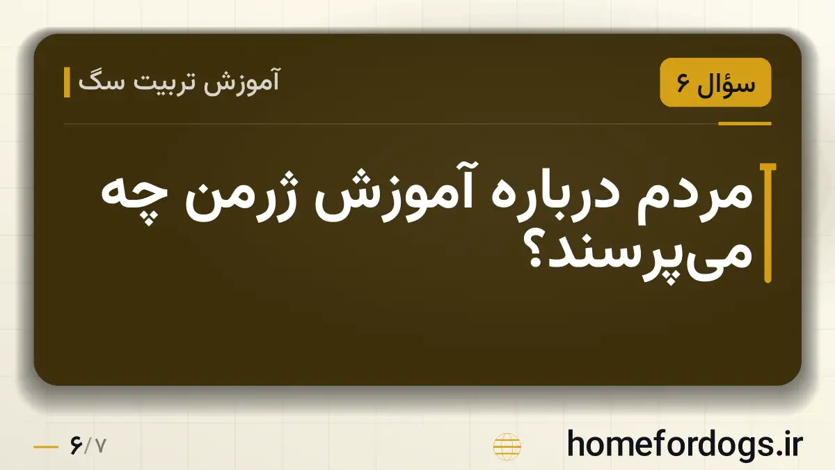 مردم درباره آموزش ژرمن چه می‌پرسند؟