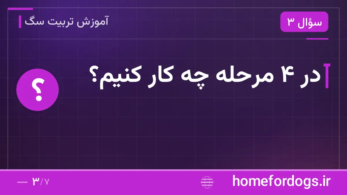 در ۴ مرحله چه کار کنیم؟