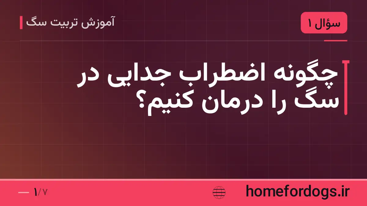 چگونه اضطراب جدایی در سگ را درمان کنیم؟