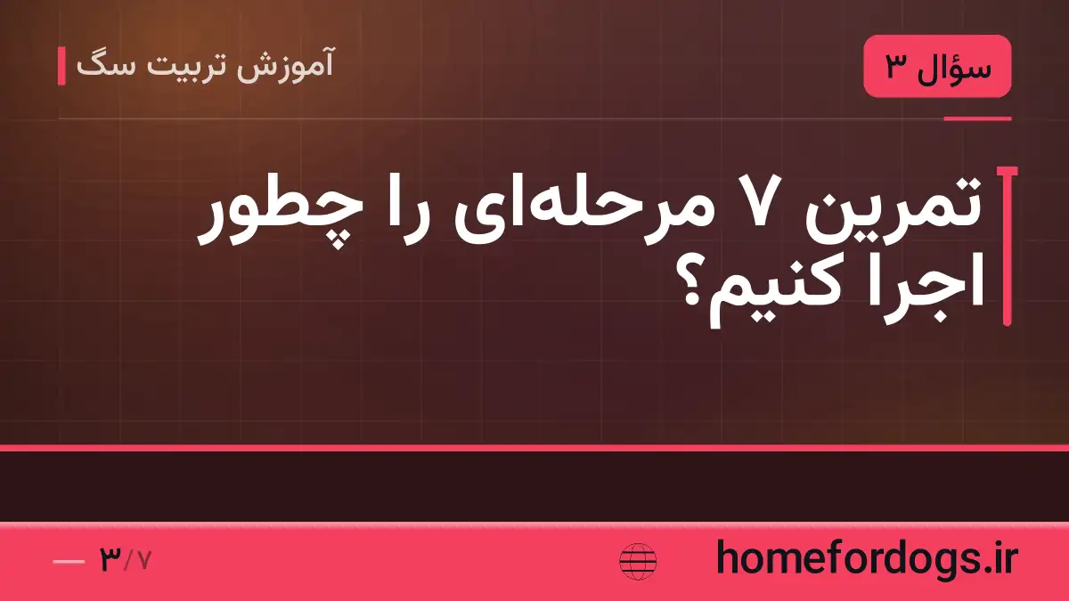 تمرین ۷ مرحله‌ای را چطور اجرا کنیم؟