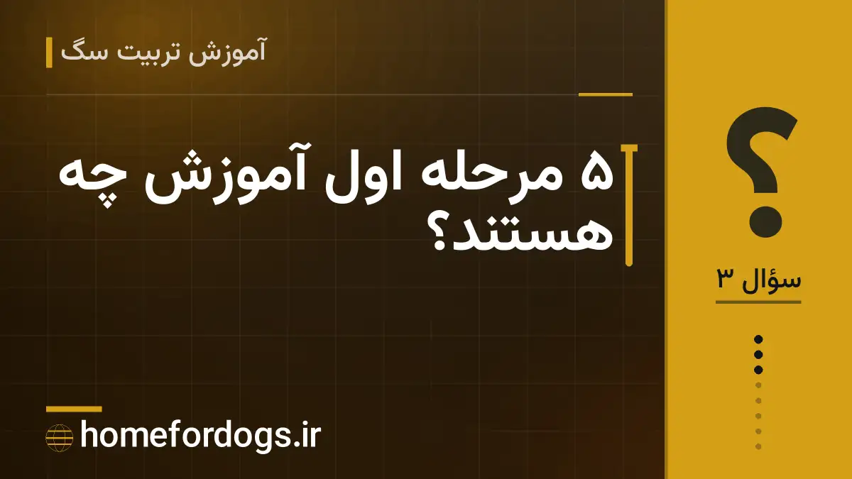 ۵ مرحله اول آموزش چه هستند؟