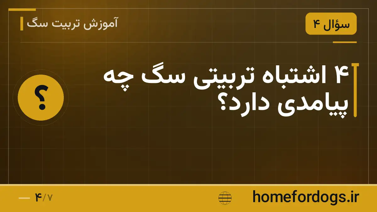 ۴ اشتباه تربیتی سگ چه پیامدی دارد؟