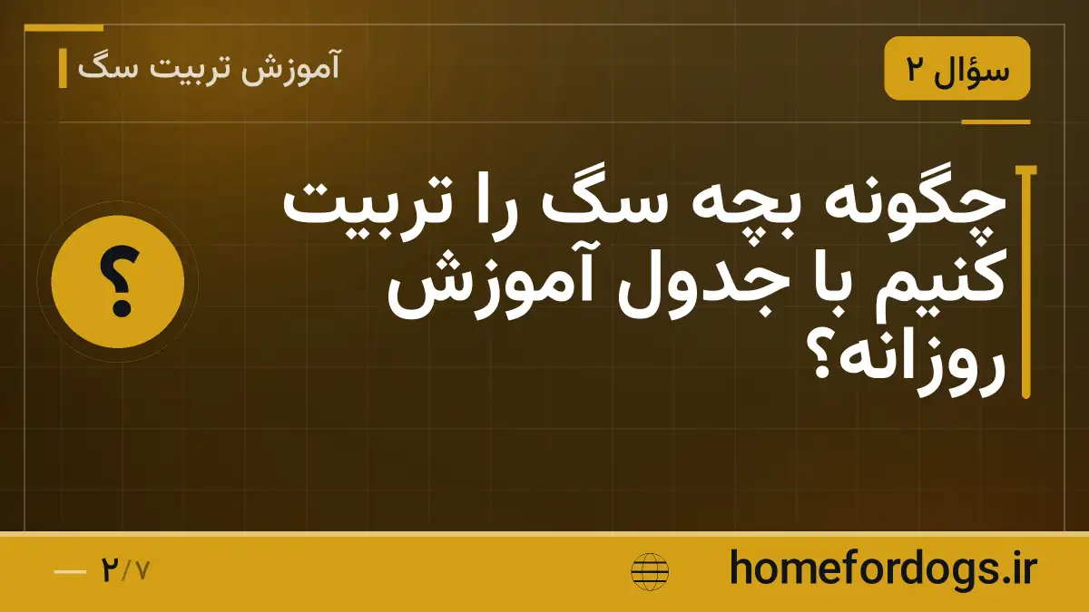 چگونه بچه سگ را تربیت کنیم با جدول آموزش روزانه؟