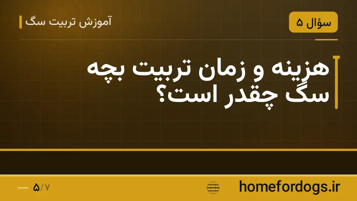 هزینه و زمان تربیت بچه سگ چقدر است؟