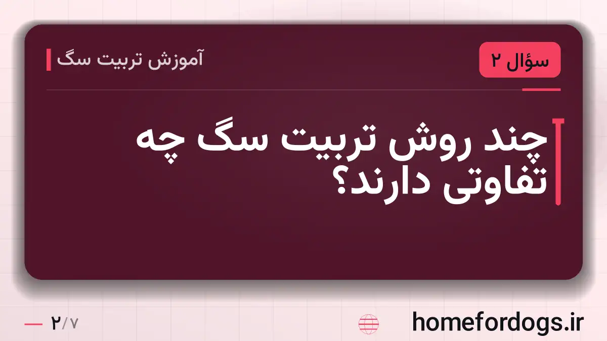 چند روش تربیت سگ چه تفاوتی دارند؟