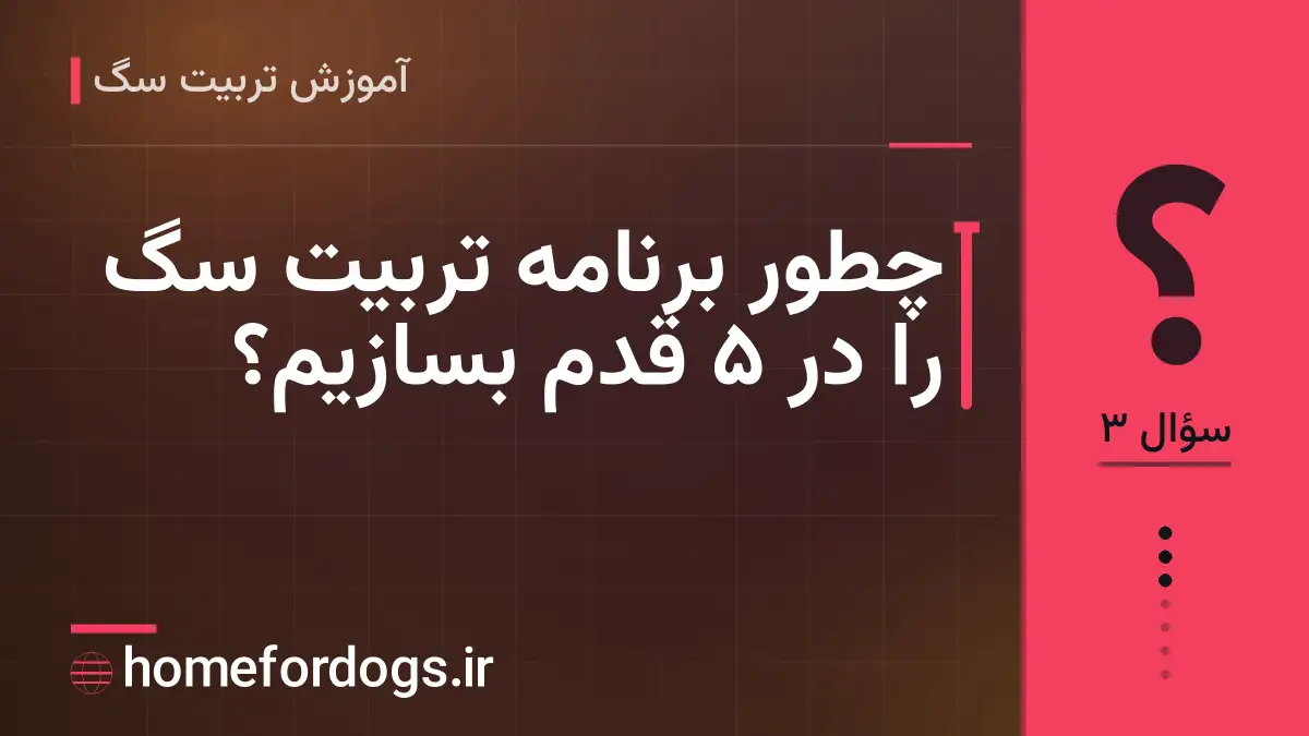 چطور برنامه تربیت سگ را در ۵ قدم بسازیم؟