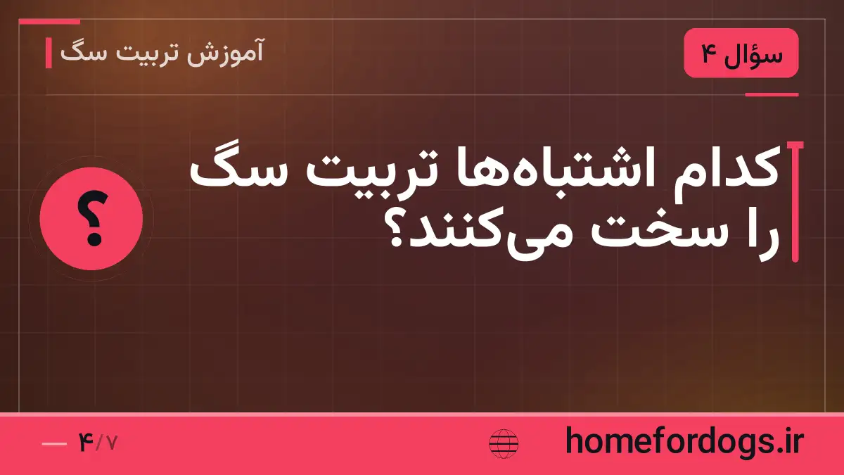 کدام اشتباه‌ها تربیت سگ را سخت می‌کنند؟