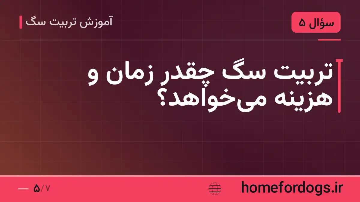 تربیت سگ چقدر زمان و هزینه می‌خواهد؟