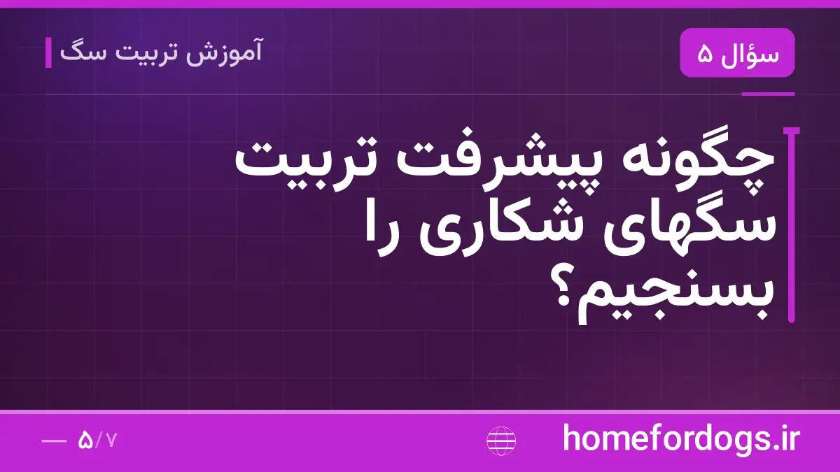چگونه پیشرفت تربیت سگهای شکاری را بسنجیم؟