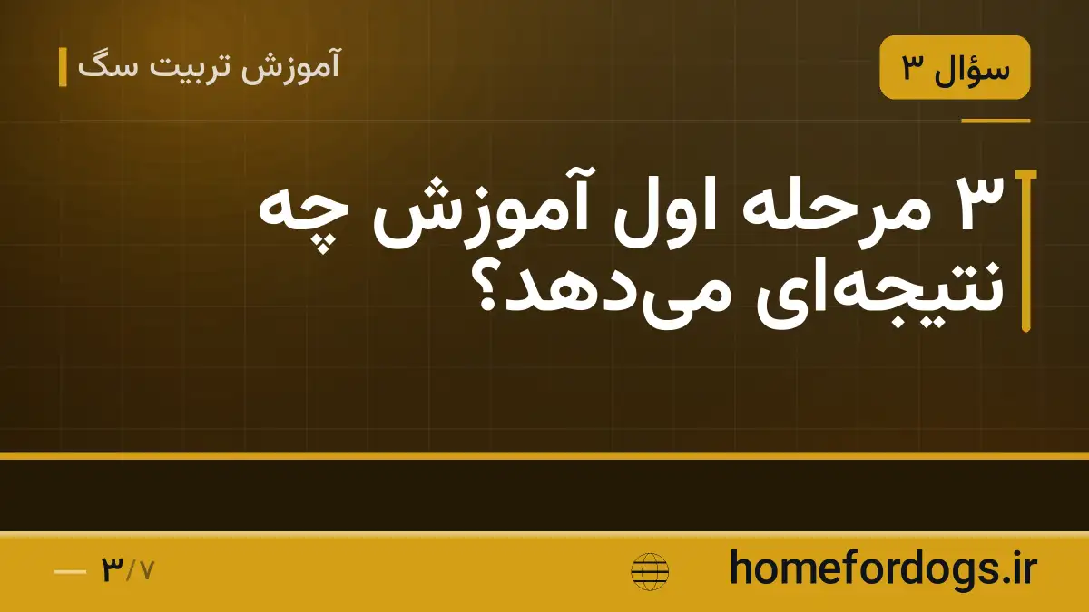 ۳ مرحله اول آموزش چه نتیجه‌ای می‌دهد؟