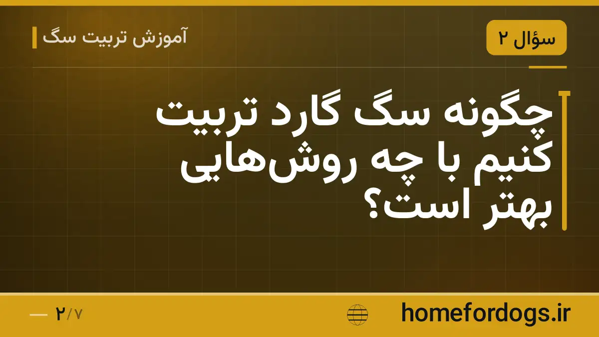 چگونه سگ گارد تربیت کنیم با چه روش‌هایی بهتر است؟