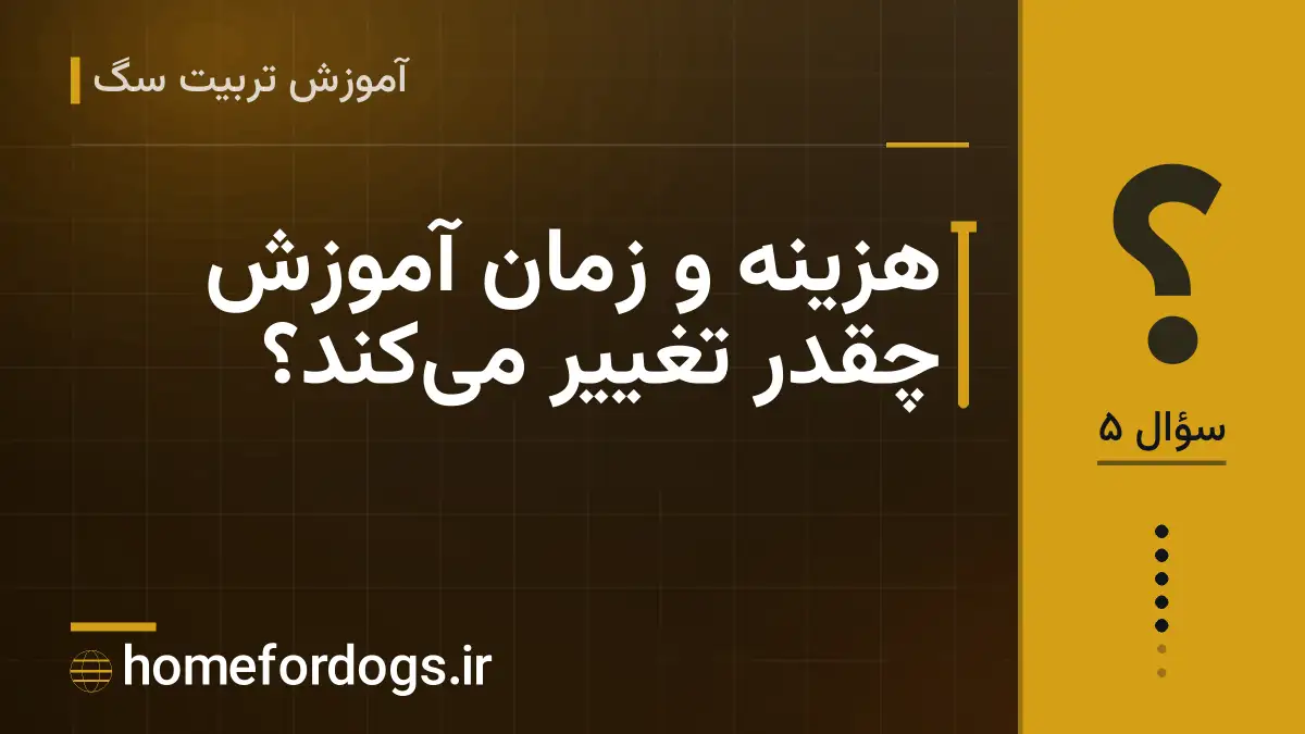 هزینه و زمان آموزش چقدر تغییر می‌کند؟