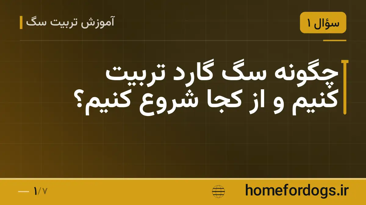 چگونه سگ گارد تربیت کنیم و از کجا شروع کنیم؟