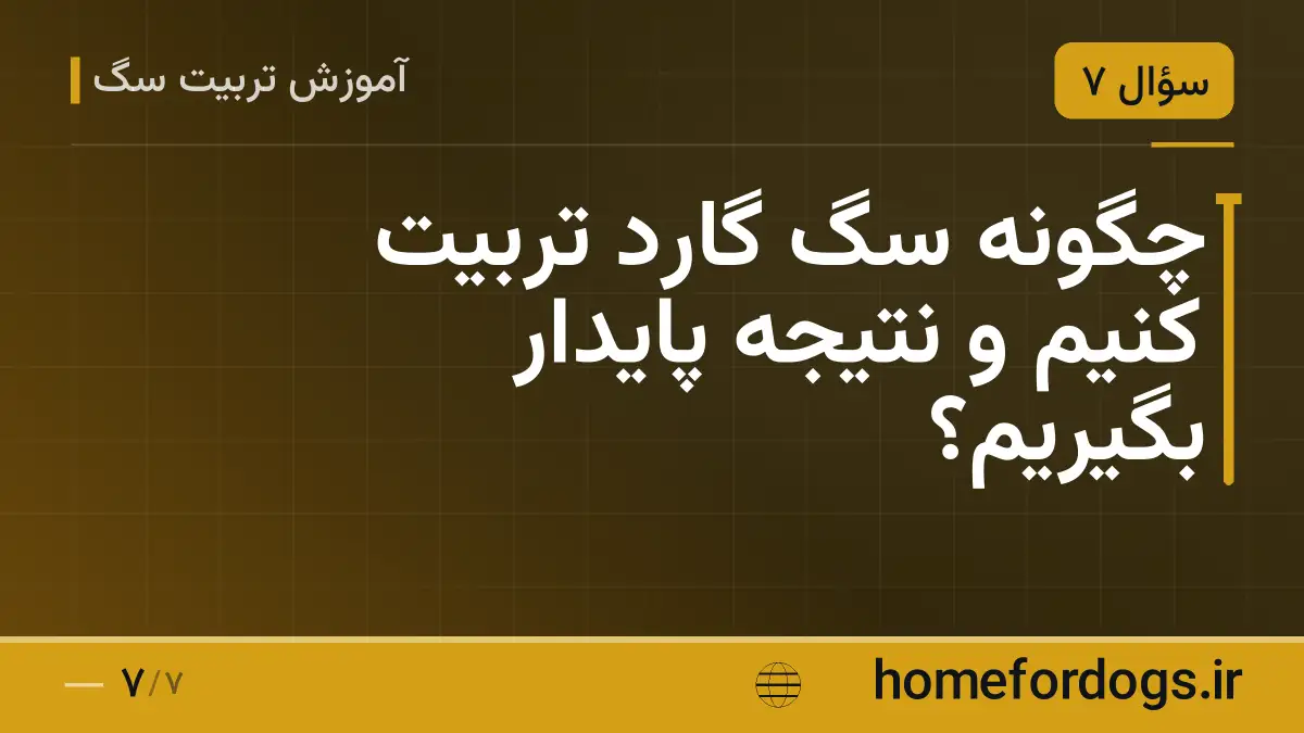 چگونه سگ گارد تربیت کنیم و نتیجه پایدار بگیریم؟