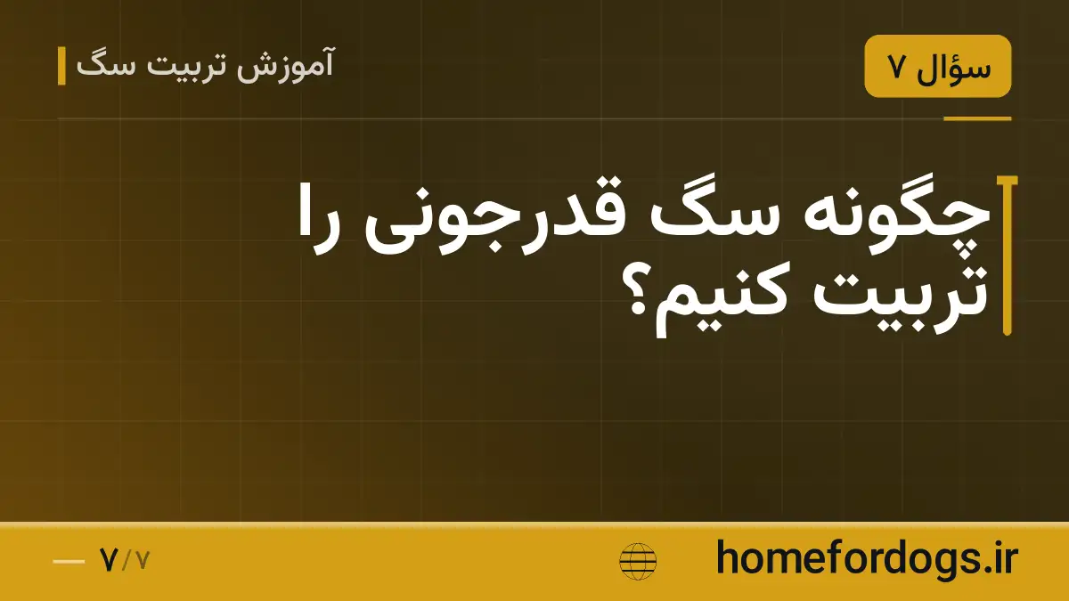 چگونه سگ قدرجونی را تربیت کنیم؟