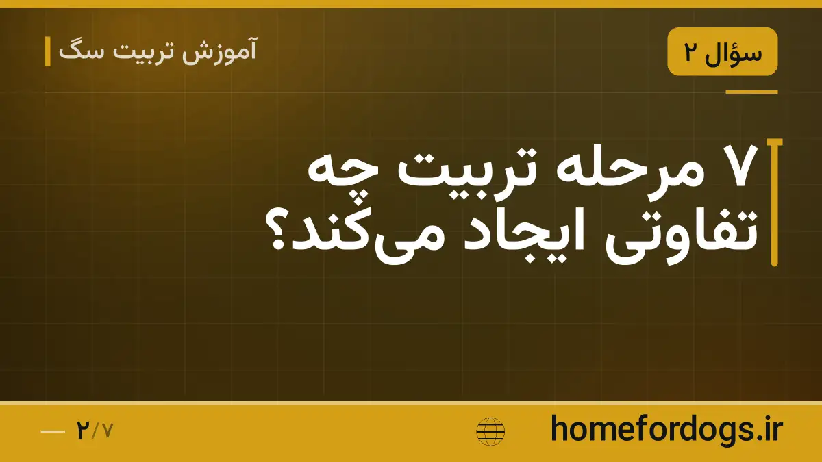 ۷ مرحله تربیت چه تفاوتی ایجاد می‌کند؟